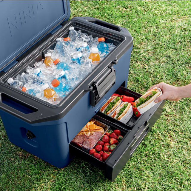 Ninja FrostVault 50qt Hard Cooler